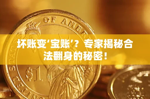 济南坏账变‘宝账’？专家揭秘合法翻身的秘密！