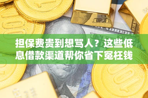 济南担保费贵到想骂人？这些低息借款渠道帮你省下冤枉钱