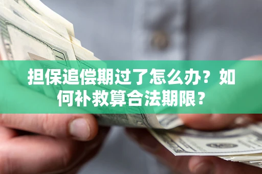 济南担保追偿期过了怎么办？如何补救算合法期限？
