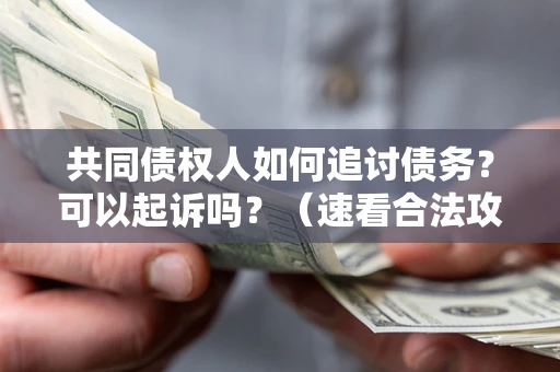 济南共同债权人如何追讨债务？可以起诉吗？（速看合法攻略）
